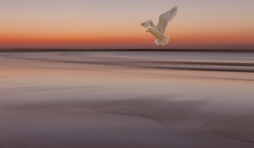 938267 (a): :2880x1682